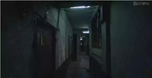 头条恐怖电梯第九关攻略,惊悚挑战攻略全解析